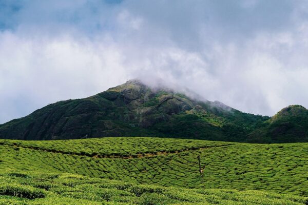 7 Days Yoga and Ayurveda Tour in Kerala